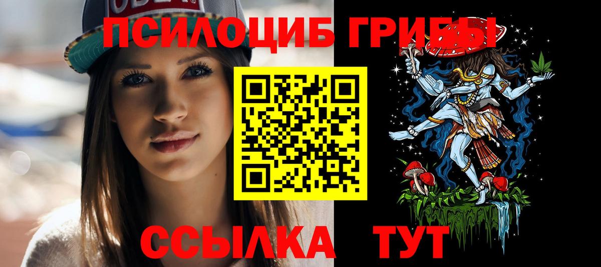 Псилоцибиновые грибы Psilocybine cubensis  Вход с VPN  Галлюциногенные грибы мицелий  Железноводск 